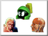 AGRAPHA Heads