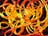 Filaments