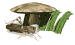 Grasshopper