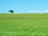 Green Meadows