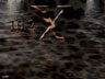 Jag On Water