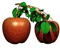Apple Ready