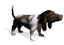 GUI Hound