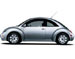 Beetle