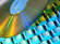 CD/Keyboard