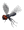 Fly