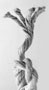 Frayed Knot