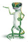 GEICO