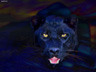Panther