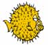 SSH Helper