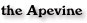 the Apevine