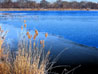 On Some Pond