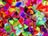 ColoSplosion