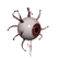 Eye Out!