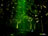 Green Forest
