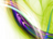 FraxDesk no.11