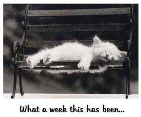 What A Week!