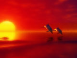 Dance at Sunrise