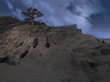 Desolate Beauty