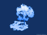 Night Tree