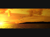Ocean View 3
