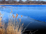 On Some Pond