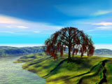 Over The Ridge