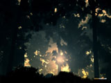 Autumn Again