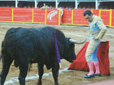 desplantes