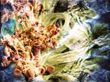 Filtrate