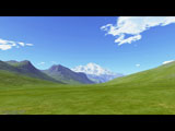 Green Grass