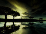 Last Walk