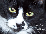 Love Ya! Wobbles