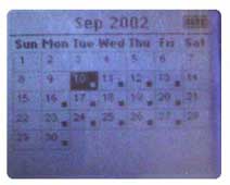 Main Calendar